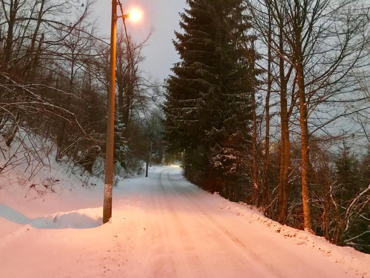 Kuca Za Odmor Gorski Kotar Brestova Draga Exteriör bild